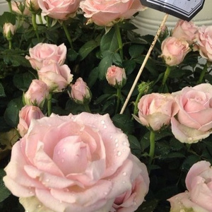 久久久无码精品亚洲日韩啪啪网站
